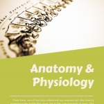 Anatomy & Physiology